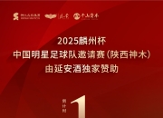 开云下载-精彩对阵再现，球星争霸点燃热情