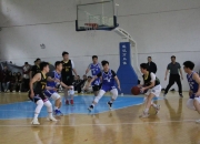 开云体育登录-现场篮球比赛中的精彩瞬间震撼全场观众的简单介绍