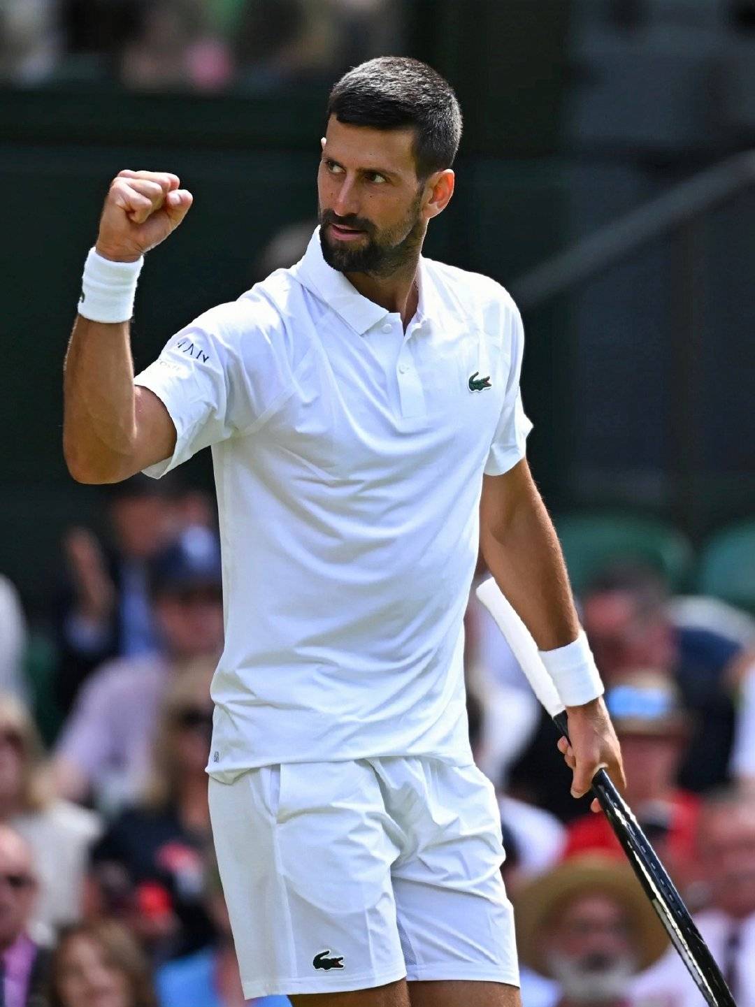 关于日本网球队强势意大利网球队,德约科维奇统治全场的信息 关于日本网球队强势意大利网球队,德约科维奇统治全场的信息