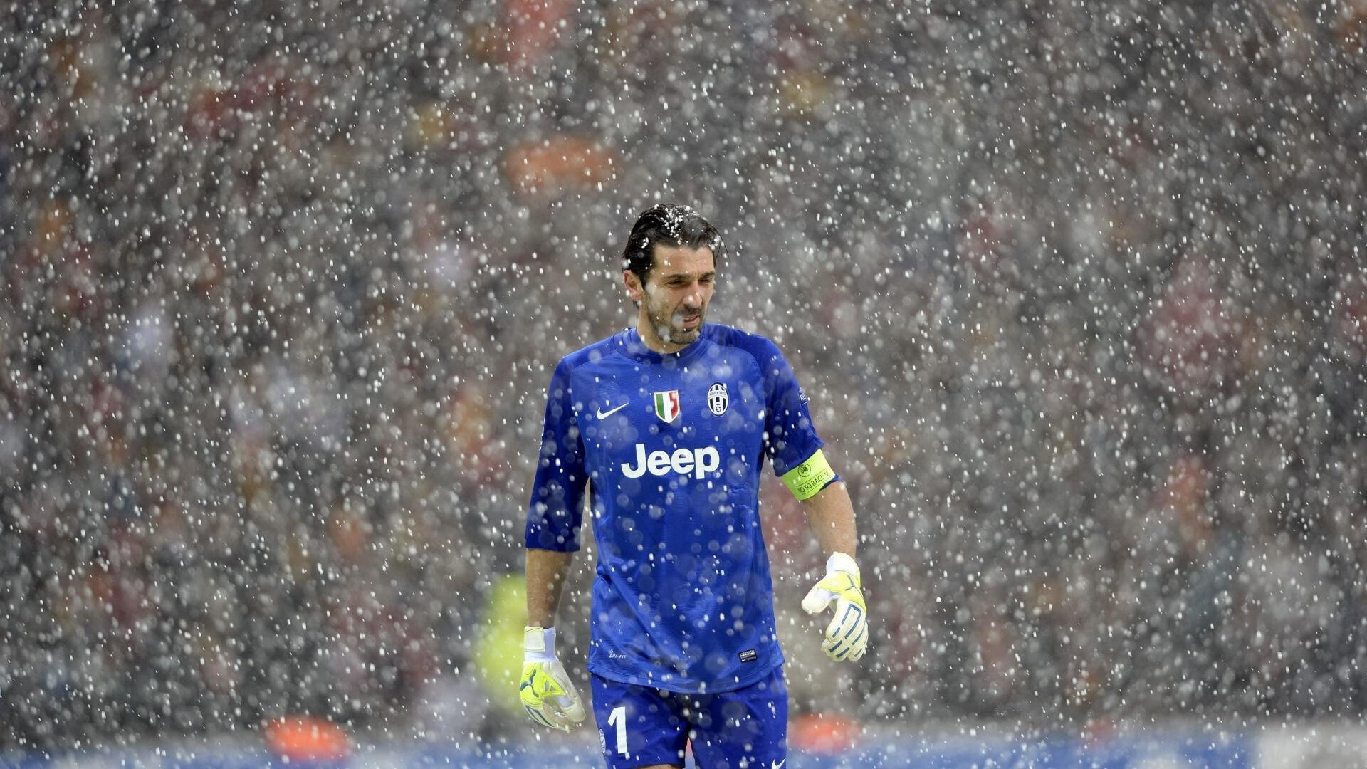 当袋鼠遇上雄狮，加维的唯一回合如何定义一场洲际对话